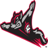 SOM