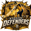 STE