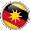 SAR