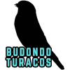 BUD