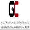 YSS