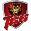 TIG
