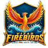 VIZ